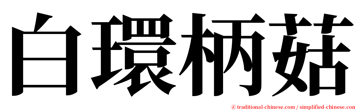 白環柄菇 serif font