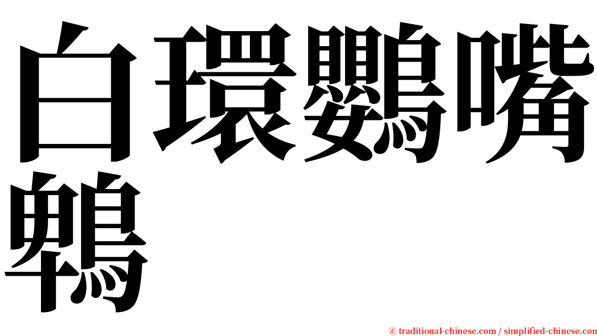 白環鸚嘴鵯 serif font