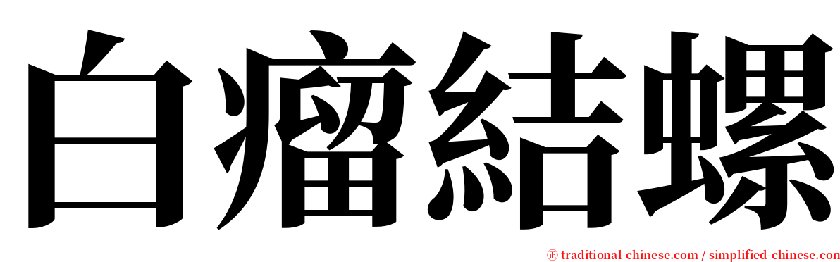 白瘤結螺 serif font