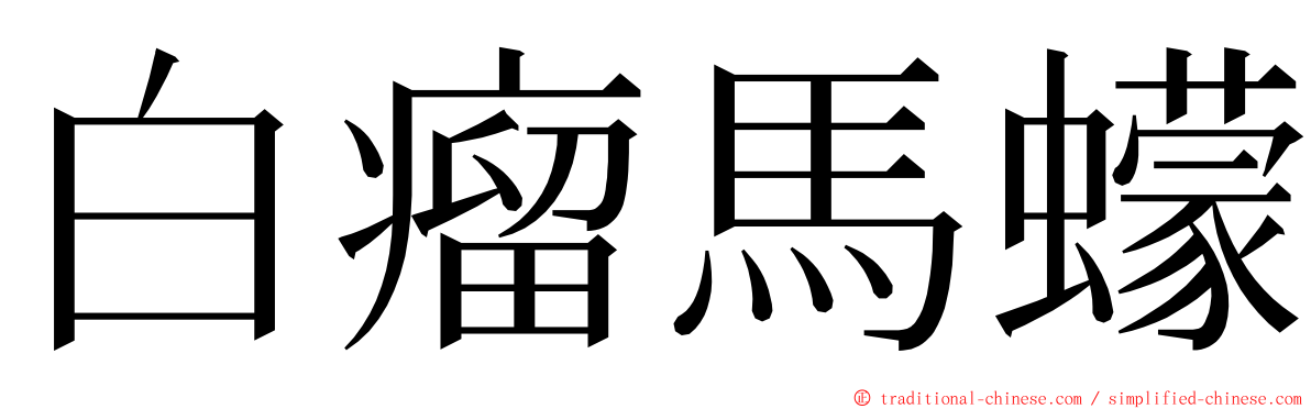 白瘤馬蠓 ming font