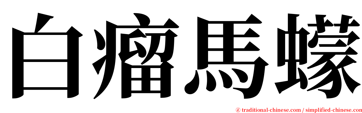 白瘤馬蠓 serif font