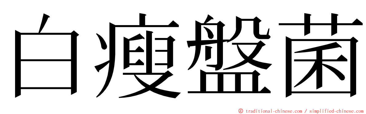 白瘦盤菌 ming font