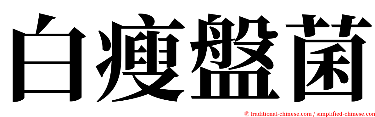 白瘦盤菌 serif font