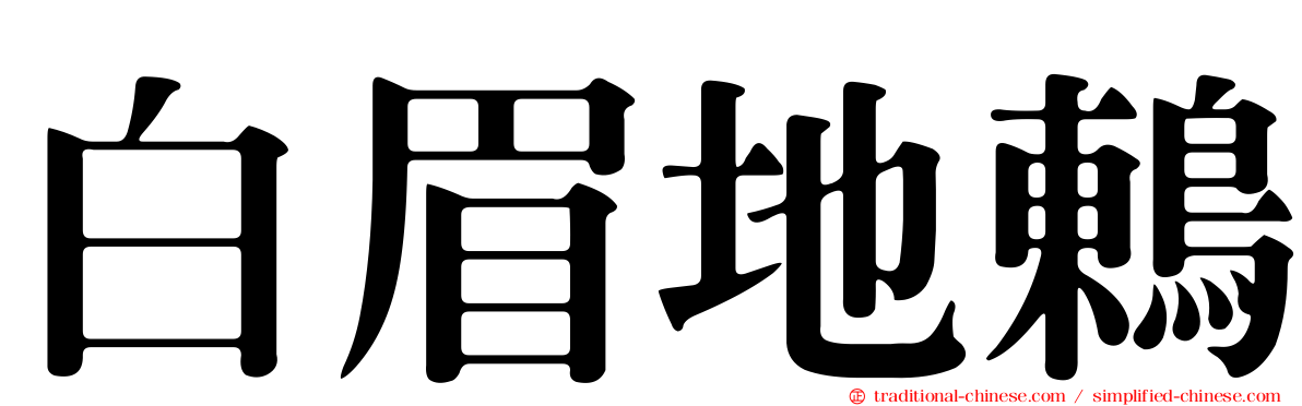 白眉地鶇