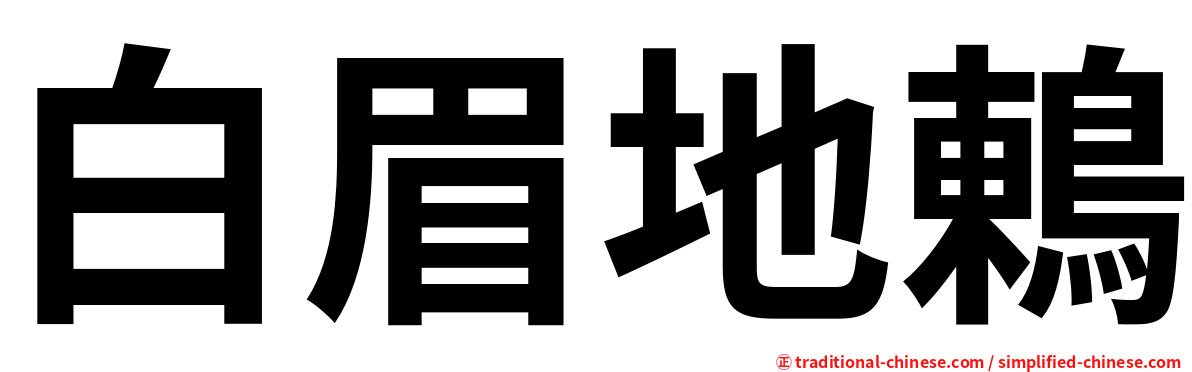 白眉地鶇