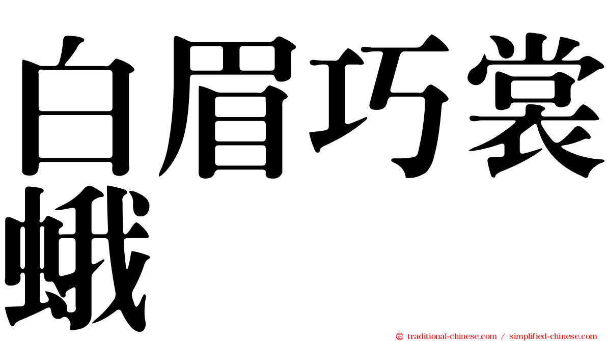 白眉巧裳蛾