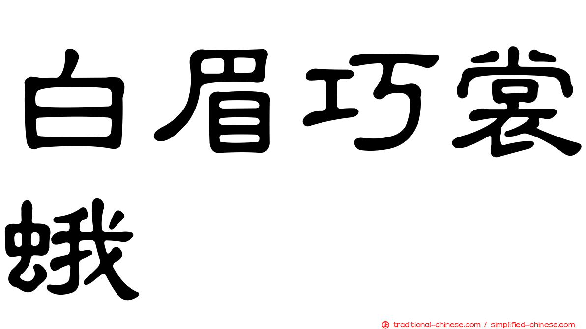 白眉巧裳蛾
