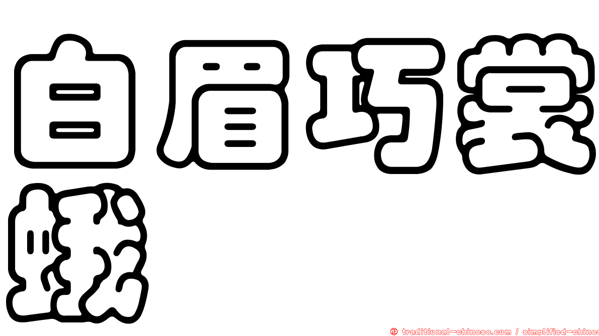 白眉巧裳蛾