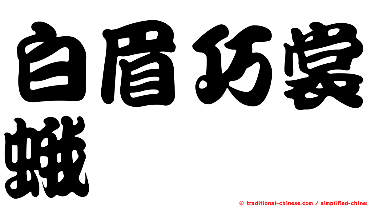 白眉巧裳蛾