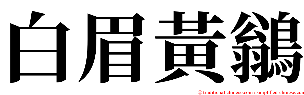 白眉黃鶲 serif font