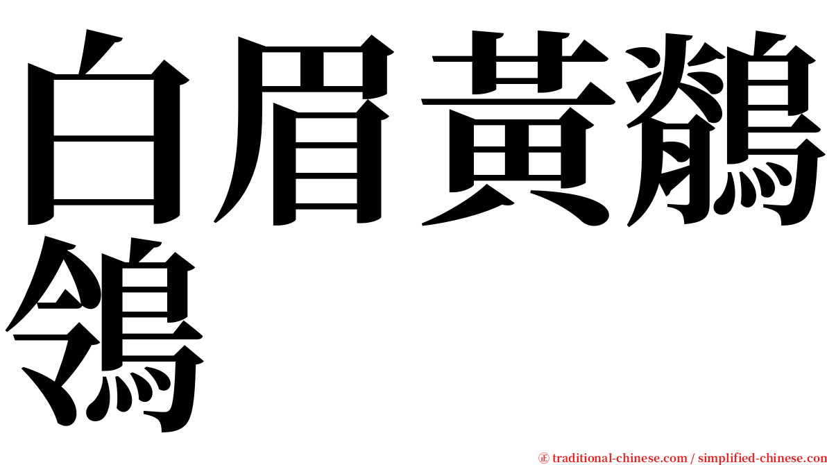 白眉黃鶺鴒 serif font