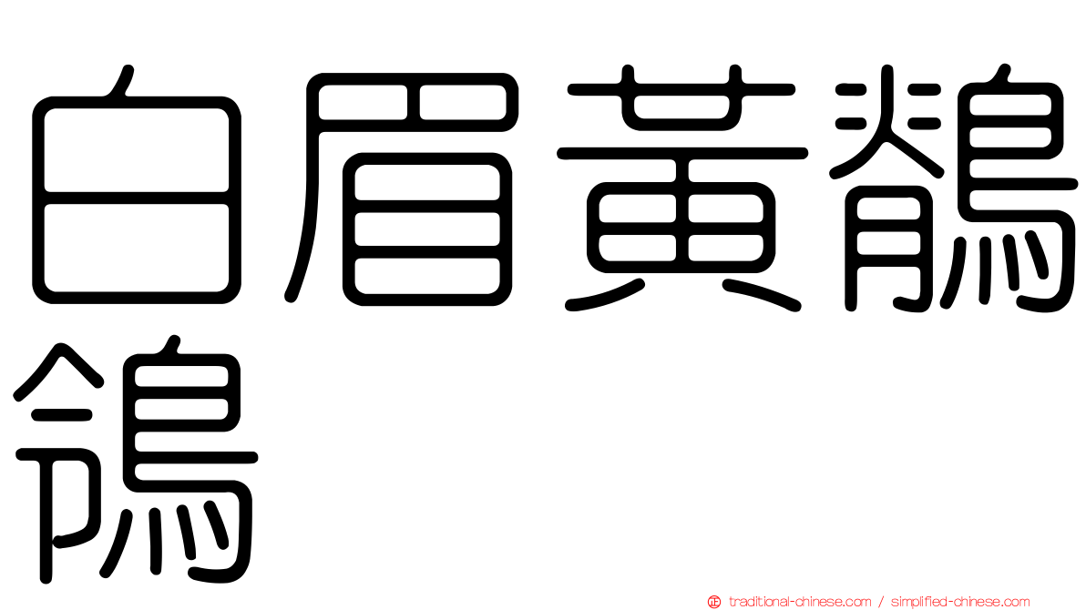 白眉黃鶺鴒