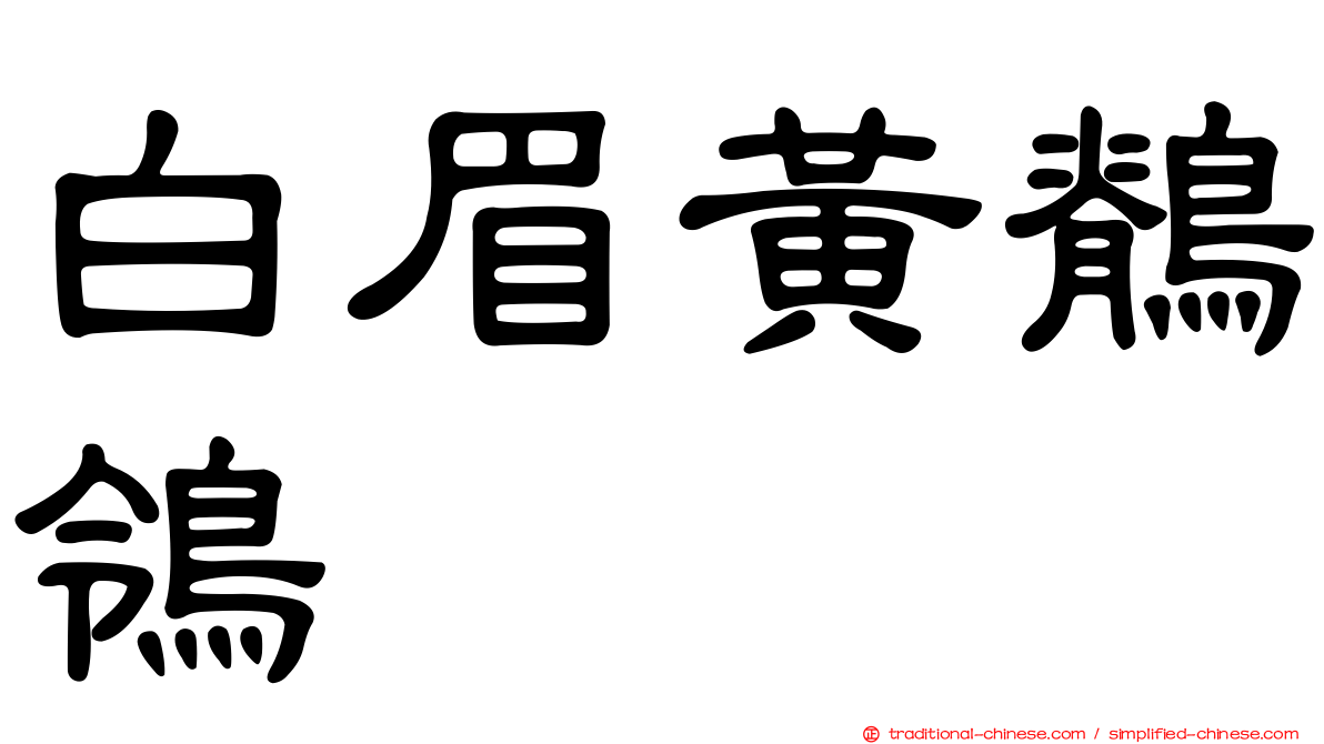 白眉黃鶺鴒