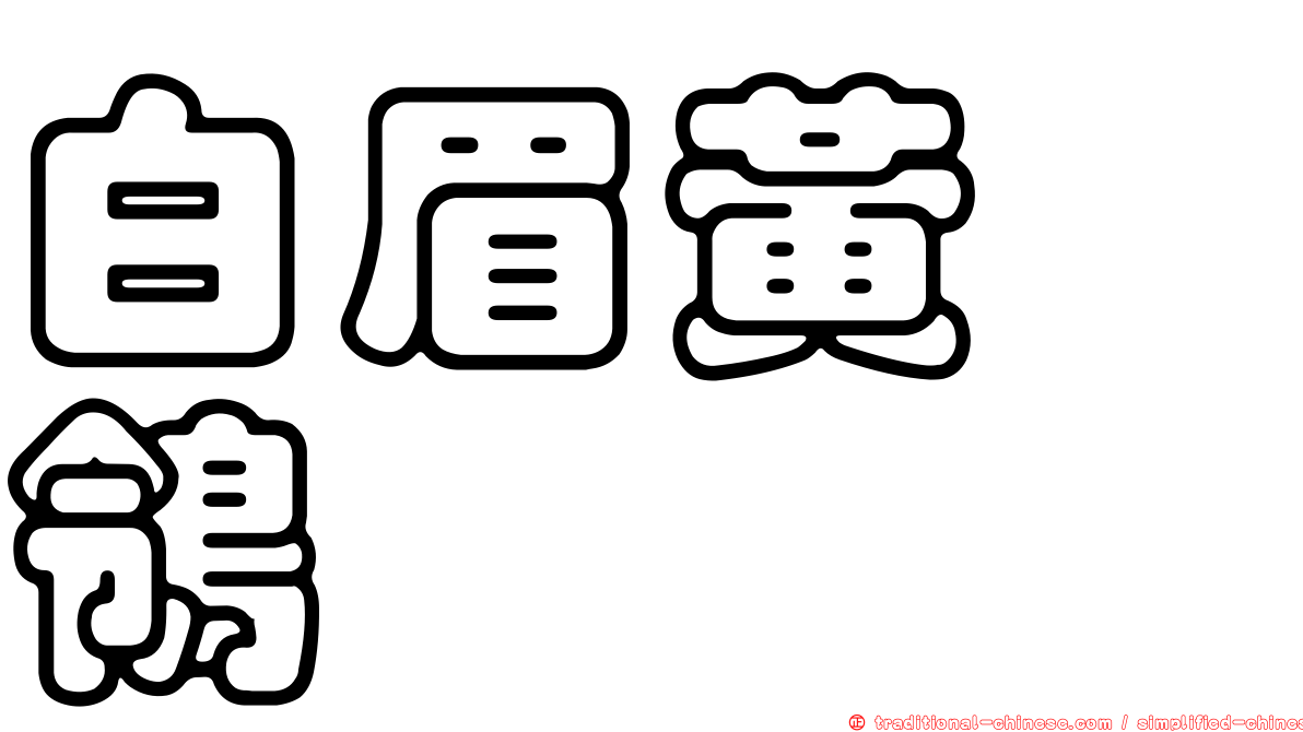 白眉黃鶺鴒