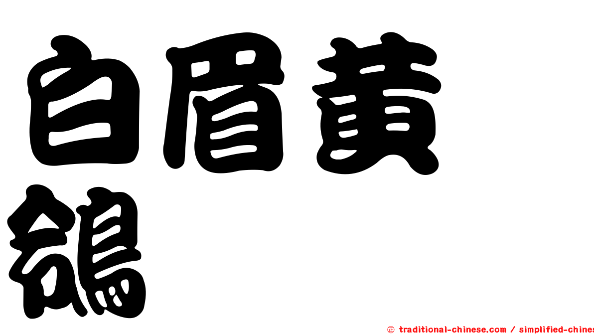 白眉黃鶺鴒