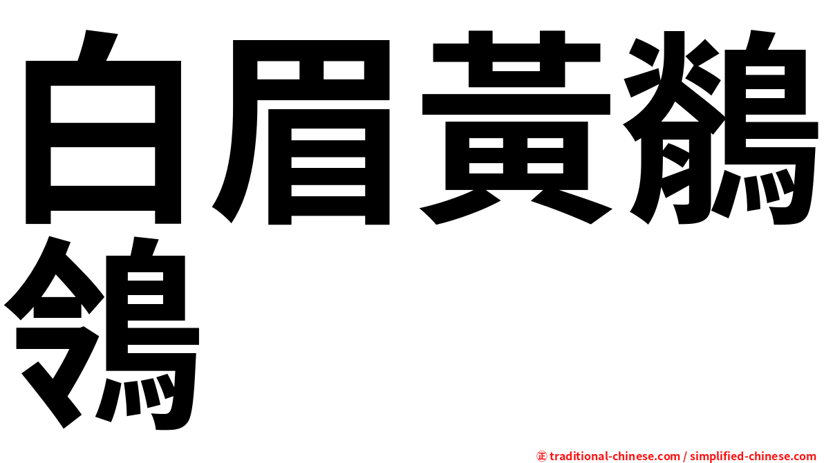 白眉黃鶺鴒