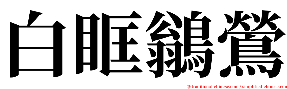 白眶鶲鶯 serif font