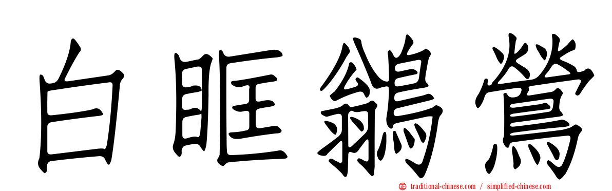 白眶鶲鶯