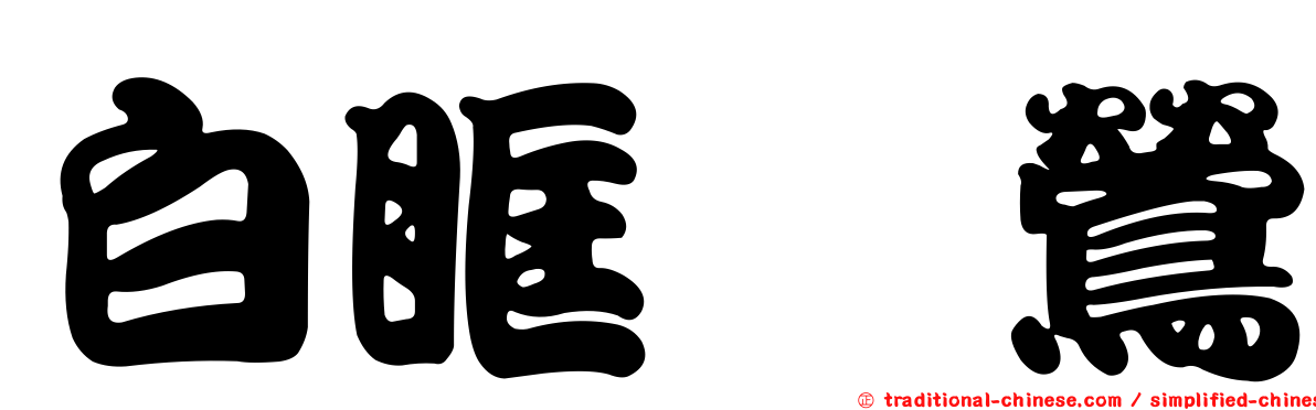 白眶鶲鶯