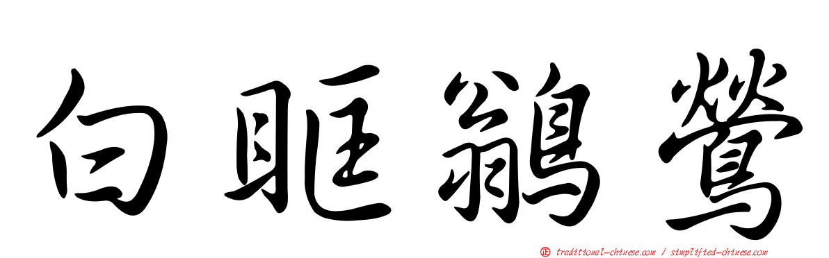 白眶鶲鶯