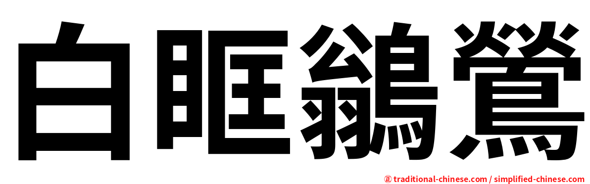 白眶鶲鶯