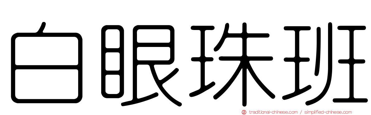 白眼珠班