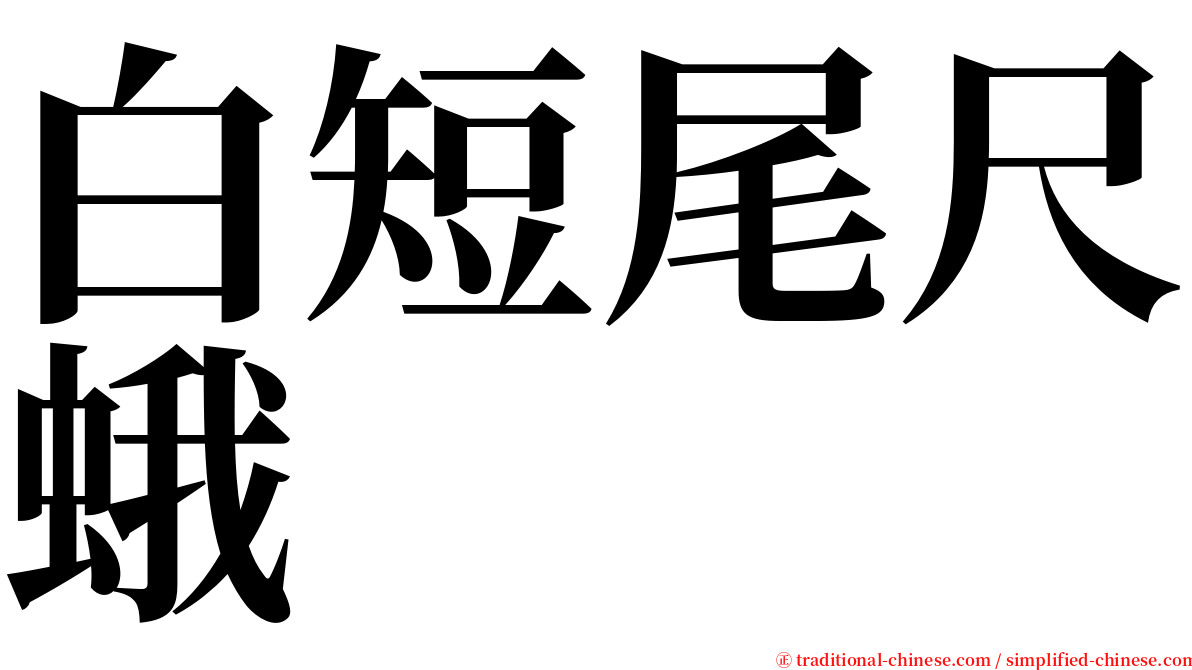 白短尾尺蛾 serif font