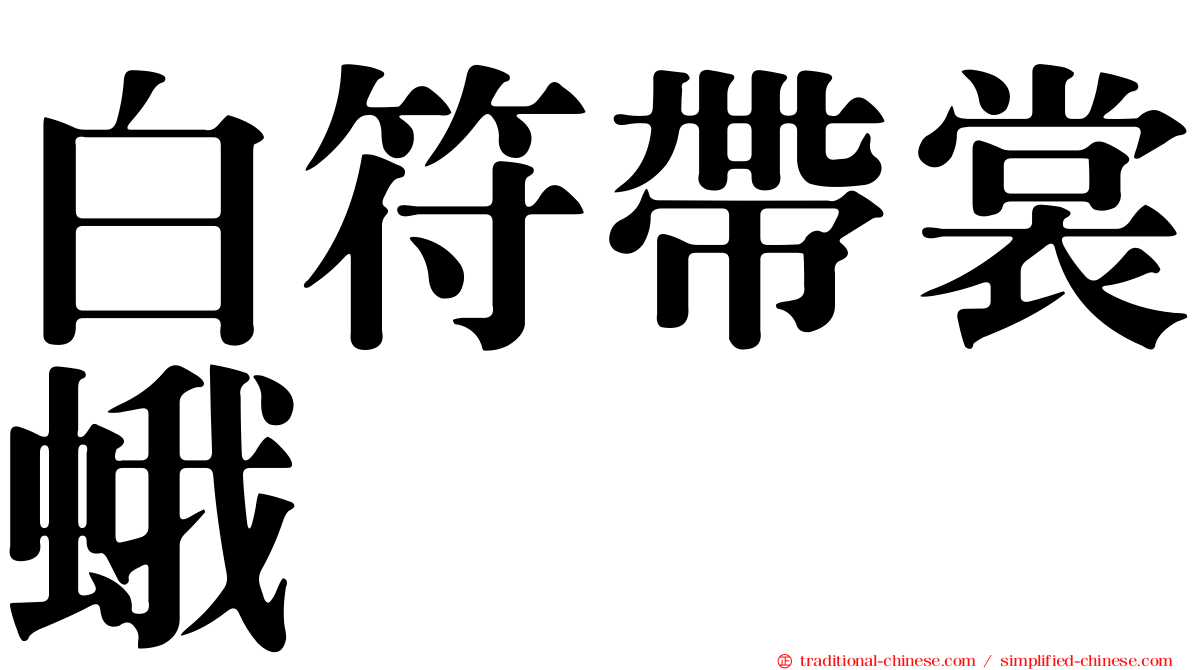 白符帶裳蛾