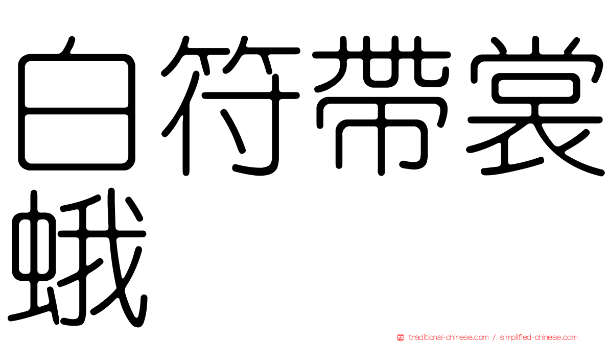 白符帶裳蛾