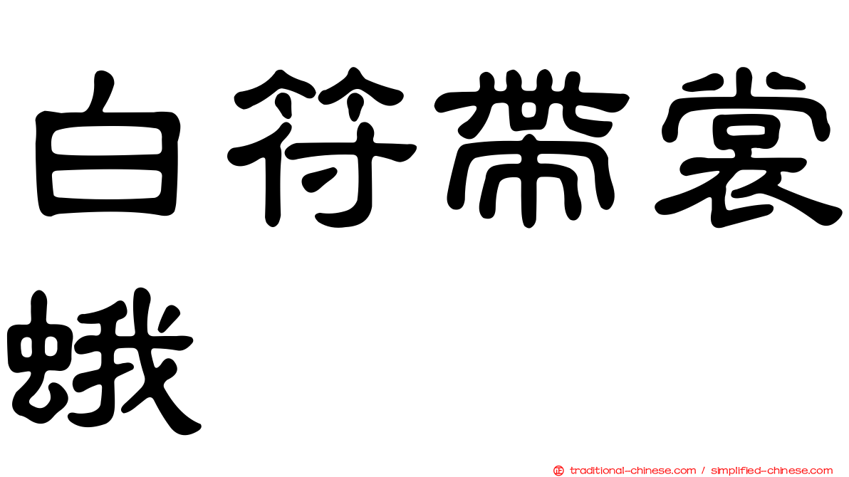 白符帶裳蛾