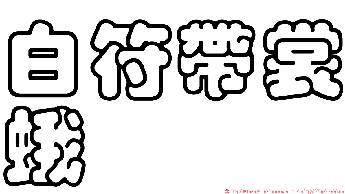 白符帶裳蛾