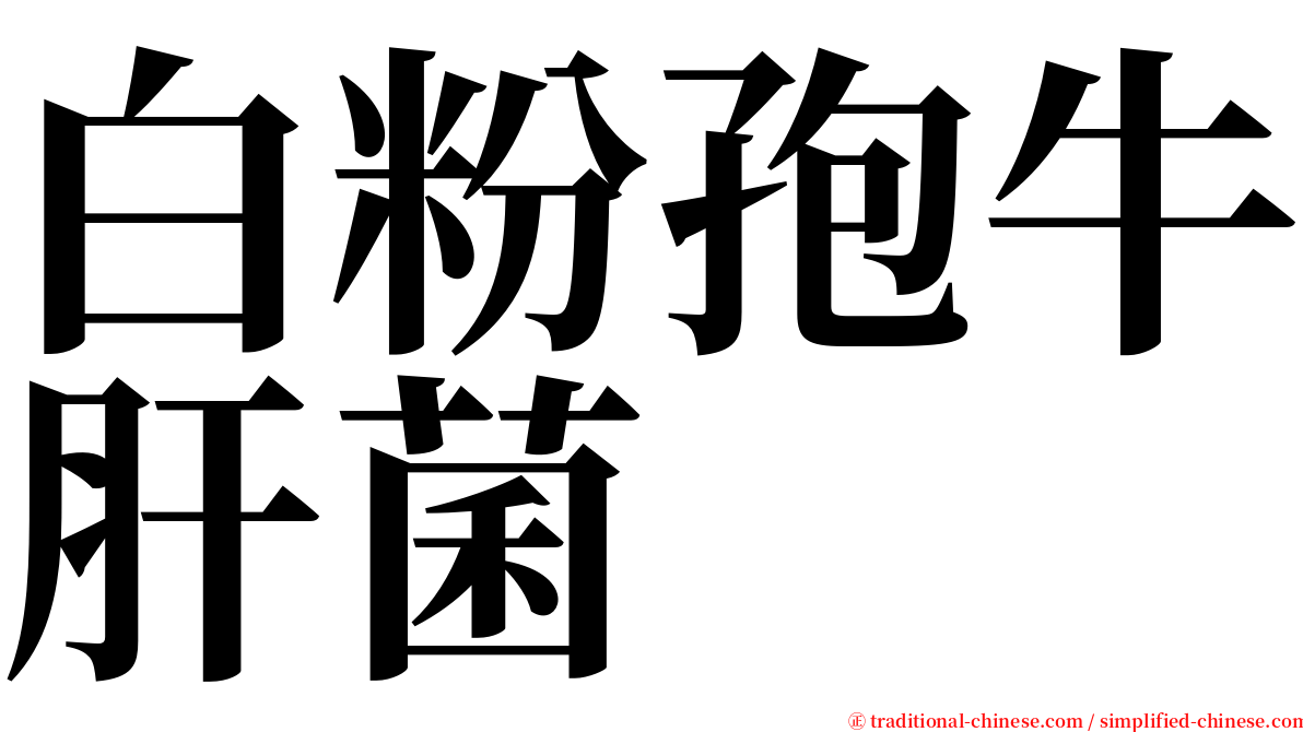 白粉孢牛肝菌 serif font