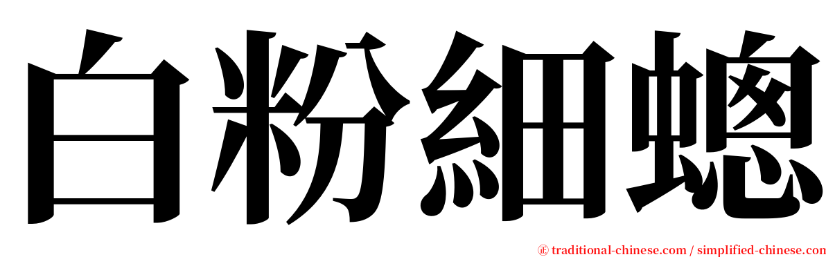 白粉細蟌 serif font