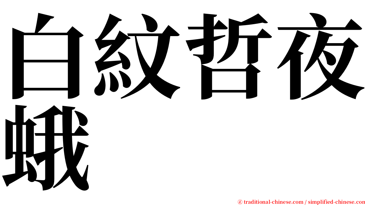 白紋哲夜蛾 serif font