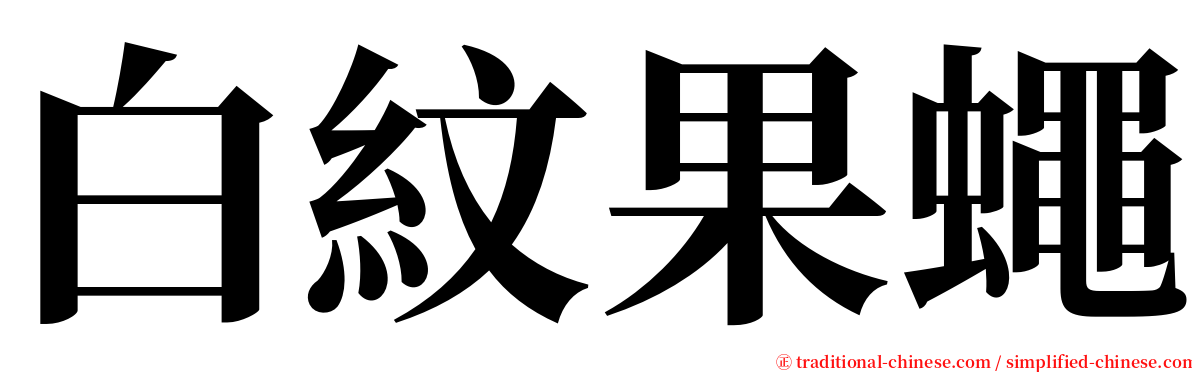 白紋果蠅 serif font