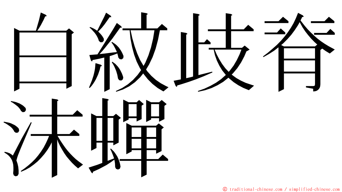 白紋歧脊沫蟬 ming font