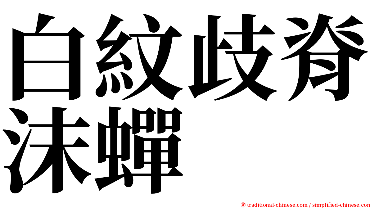 白紋歧脊沫蟬 serif font