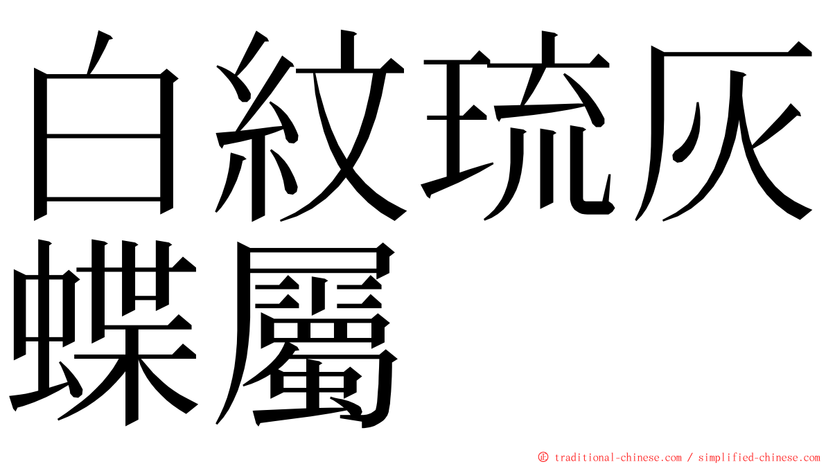 白紋琉灰蝶屬 ming font