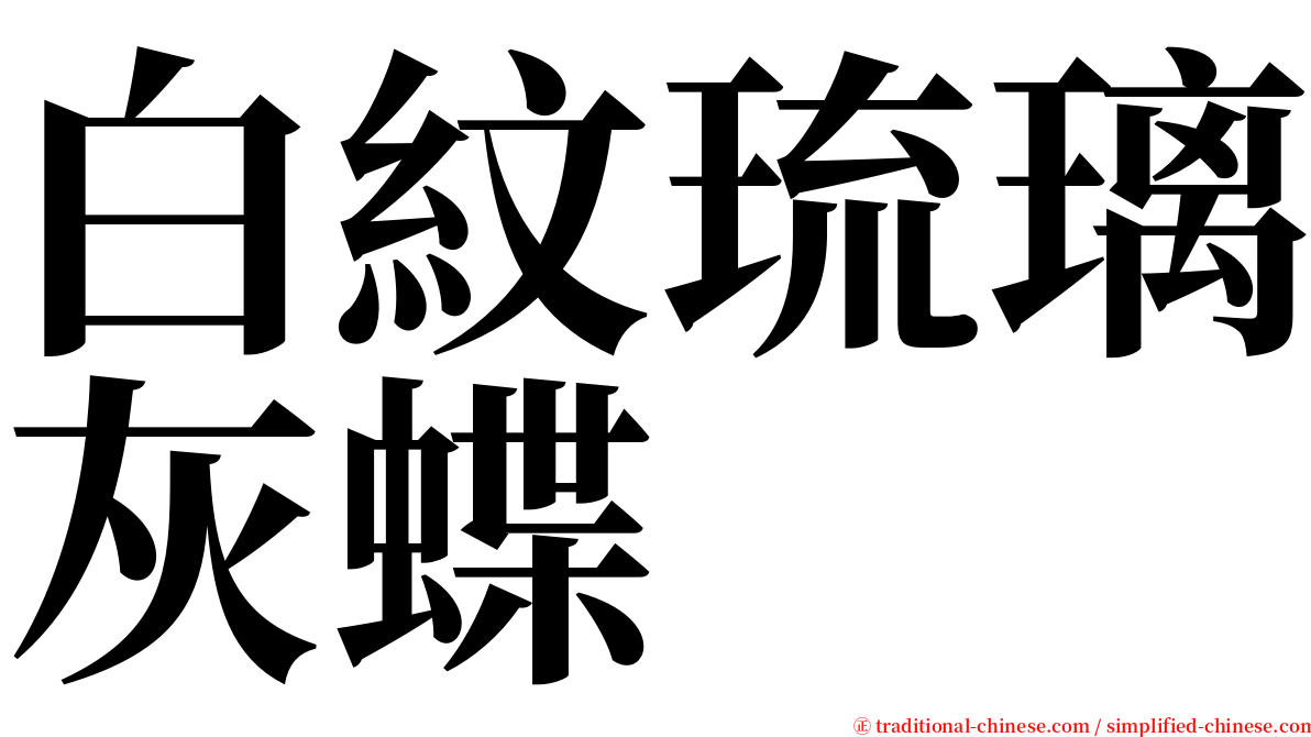 白紋琉璃灰蝶 serif font