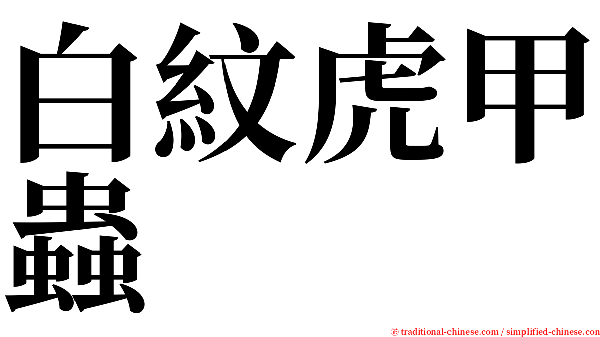 白紋虎甲蟲 serif font