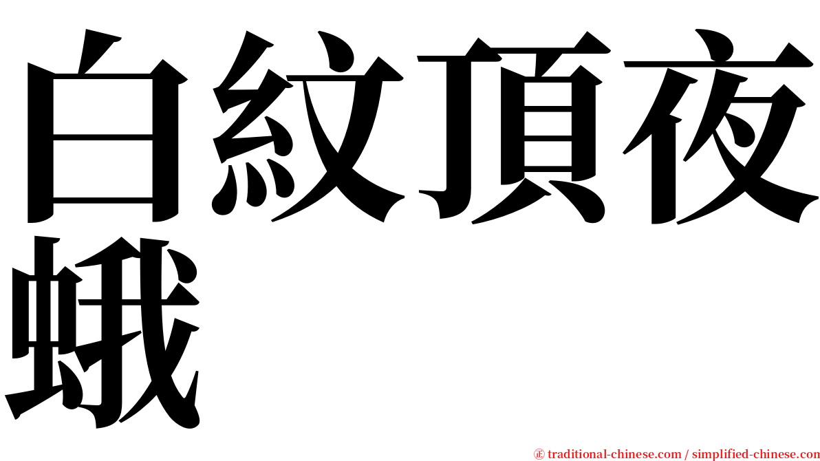 白紋頂夜蛾 serif font