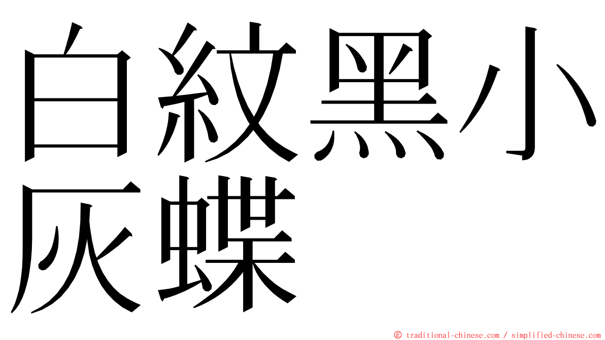 白紋黑小灰蝶 ming font