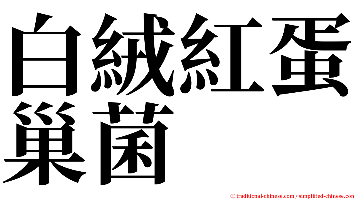 白絨紅蛋巢菌 serif font