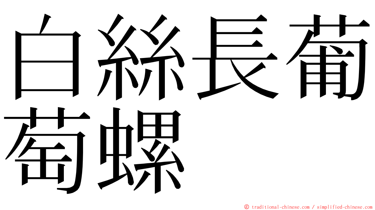 白絲長葡萄螺 ming font