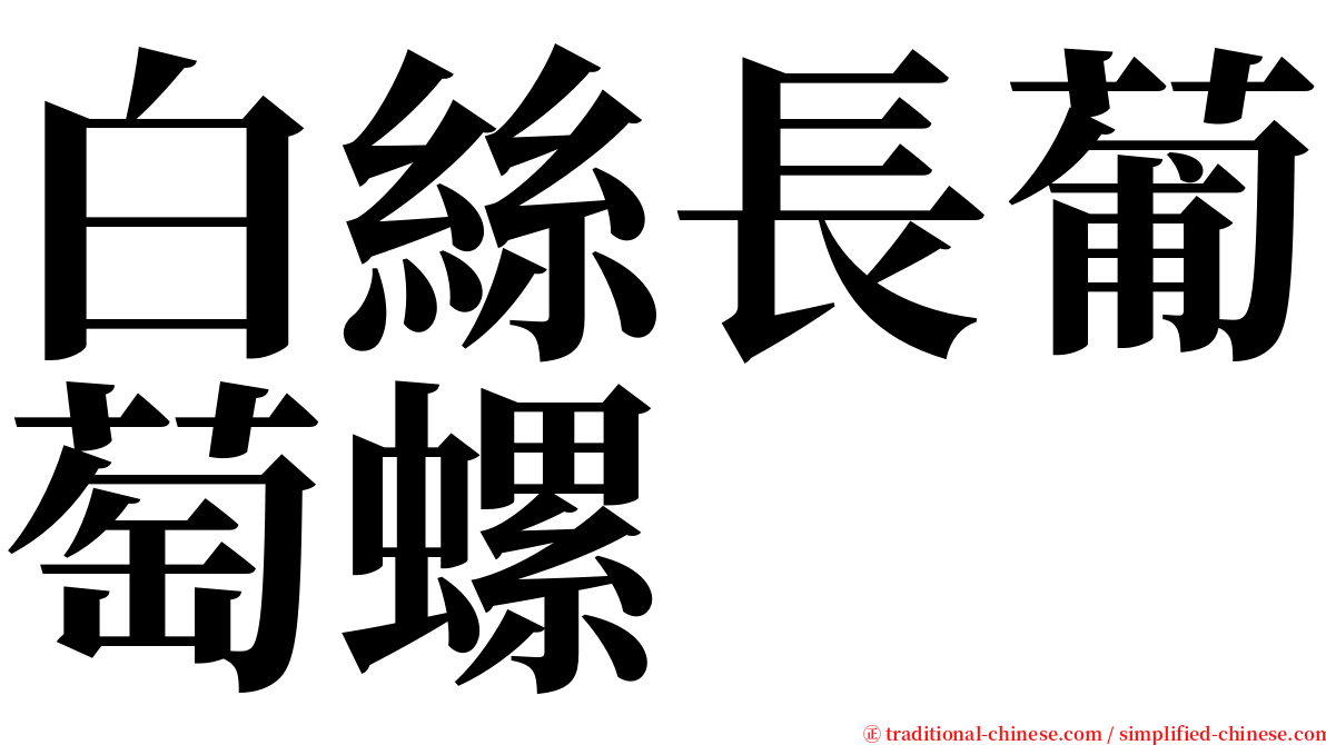 白絲長葡萄螺 serif font