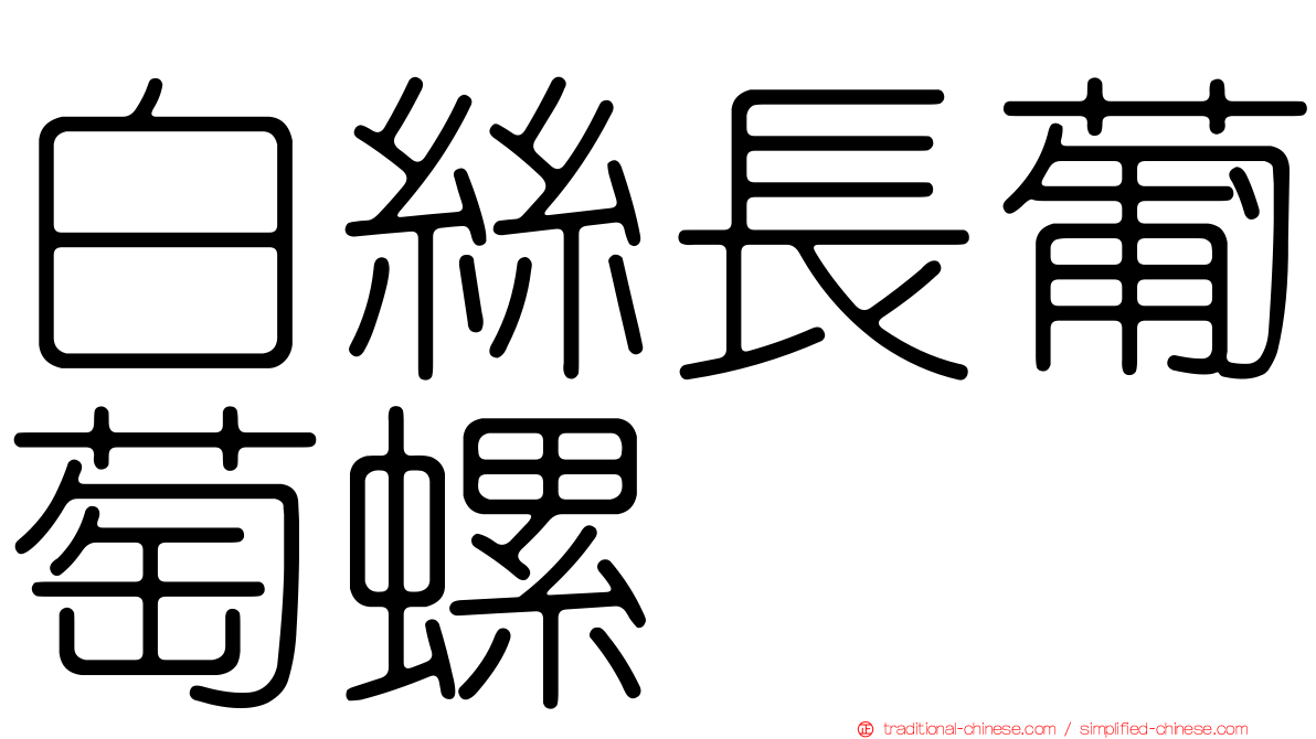 白絲長葡萄螺