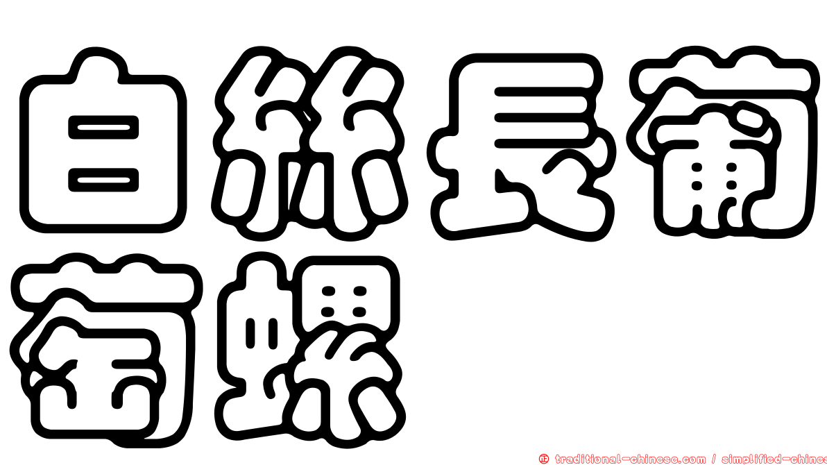 白絲長葡萄螺