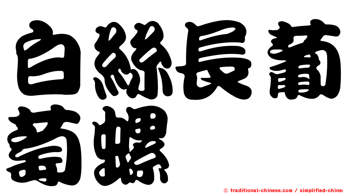 白絲長葡萄螺