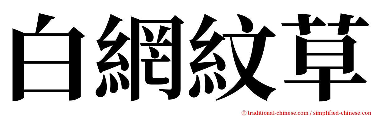 白網紋草 serif font