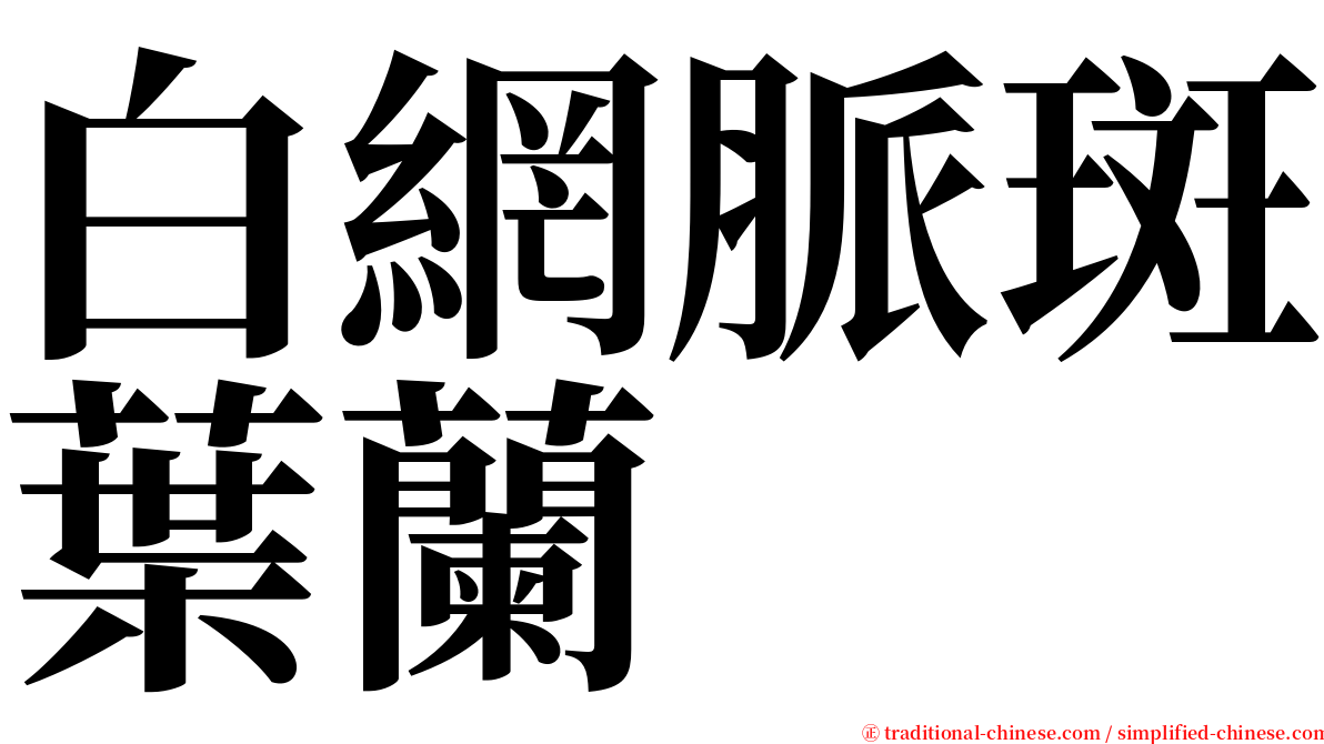 白網脈斑葉蘭 serif font